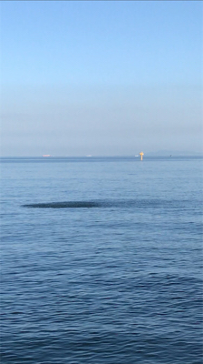 2020ライトゲーム第14戦