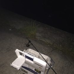 子サバに邪魔されて (^_^;)