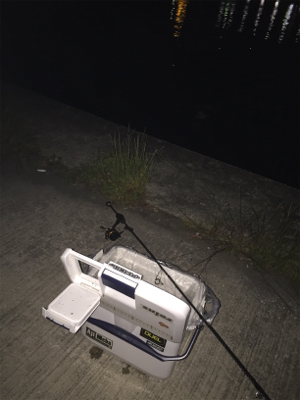 子サバに邪魔されて (^_^;)