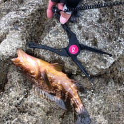 沖磯 ショアジギング♪GUNNING-STYLE