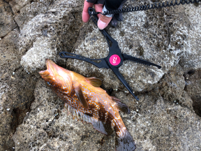 沖磯 ショアジギング♪GUNNING-STYLE