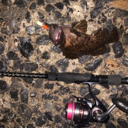 自粛解除で釣果炸裂！