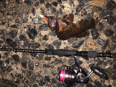 自粛解除で釣果炸裂！