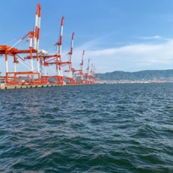 シーズン初でかサワラ