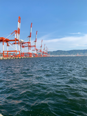 シーズン初でかサワラ