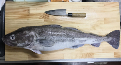 中深海ジギング