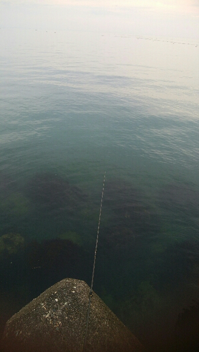 なんとかヒラメ1枚！