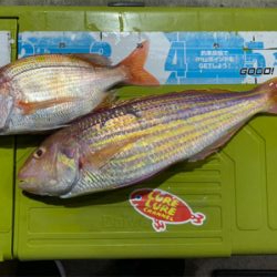 京都府北部に弟とボート釣行