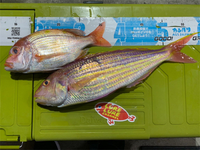 京都府北部に弟とボート釣行