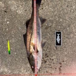 朝は魚釣り園、夕方から川