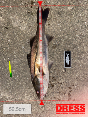 朝は魚釣り園、夕方から川