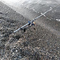 春は、大型が狙えますね！！