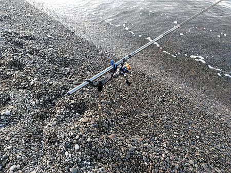 春は、大型が狙えますね！！