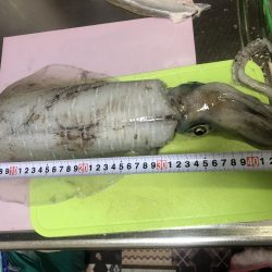 初ヤエンでキロ超！？