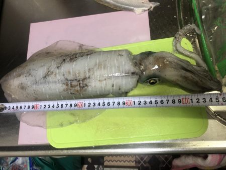 初ヤエンでキロ超！？