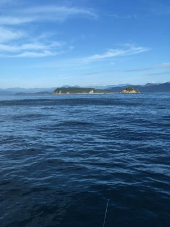 県南沖で小サバ祭り