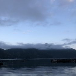 初親イカ＋キロアップ