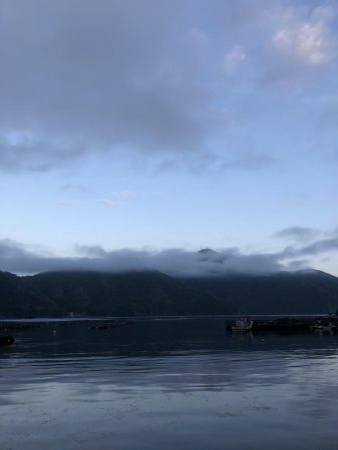 初親イカ＋キロアップ