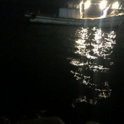 ガシライトゲーム