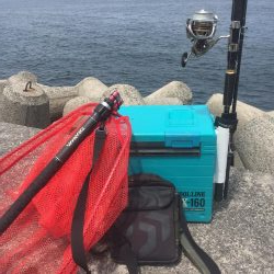 今年初青物❗️