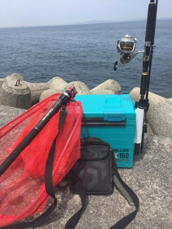 今年初青物❗️