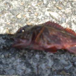 久しぶりの市役所裏