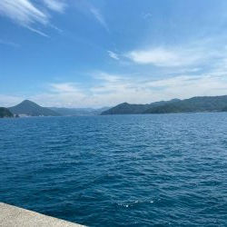 シイラトップゲーム