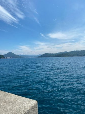 シイラトップゲーム