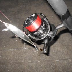 前半はテクトロ。後半はバチパターンで♪