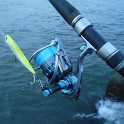 時合いは日没直後