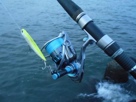 時合いは日没直後