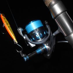 5/27バチパターン調査