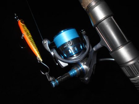 5/27バチパターン調査