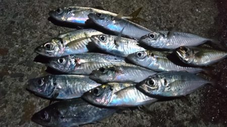 久しぶりの淡路島