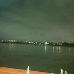 シーバス釣り終わり良ければ全て良し