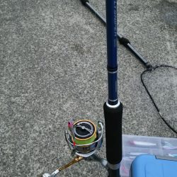 エイ、エイ、エイ