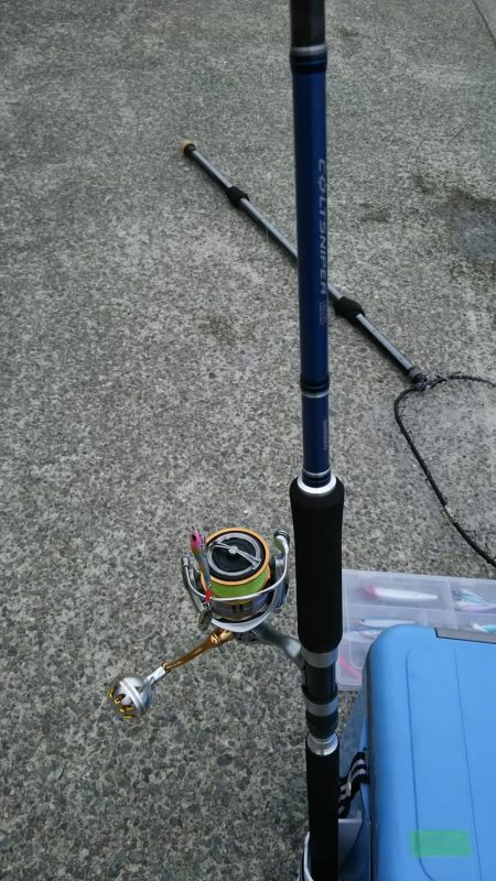 エイ、エイ、エイ