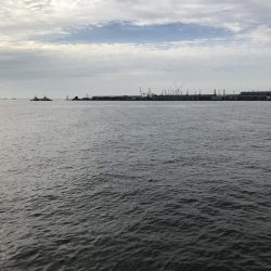 せっかくのタモが…。