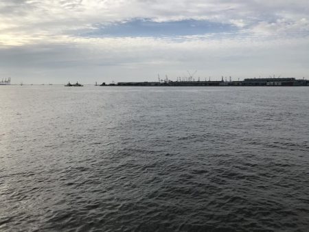 せっかくのタモが…。