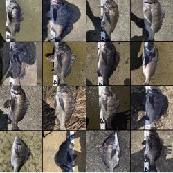 イチノ兄弟、釣果！