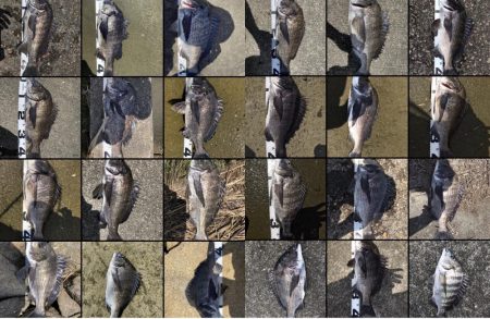 イチノ兄弟、釣果！