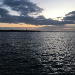 ぼちぼちでした