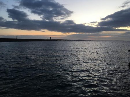 ぼちぼちでした