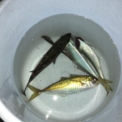 粘り強くやりました！