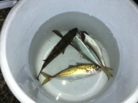 粘り強くやりました！