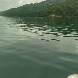 船サビキ釣りでアジ狙い