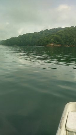 船サビキ釣りでアジ狙い