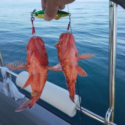 オーシャンズ 京都 釣果
