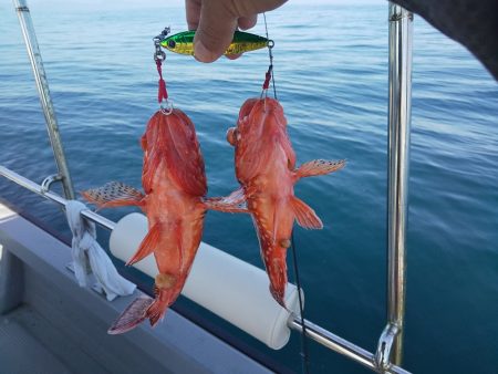 オーシャンズ 京都 釣果