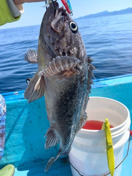 宝昌丸 釣果
